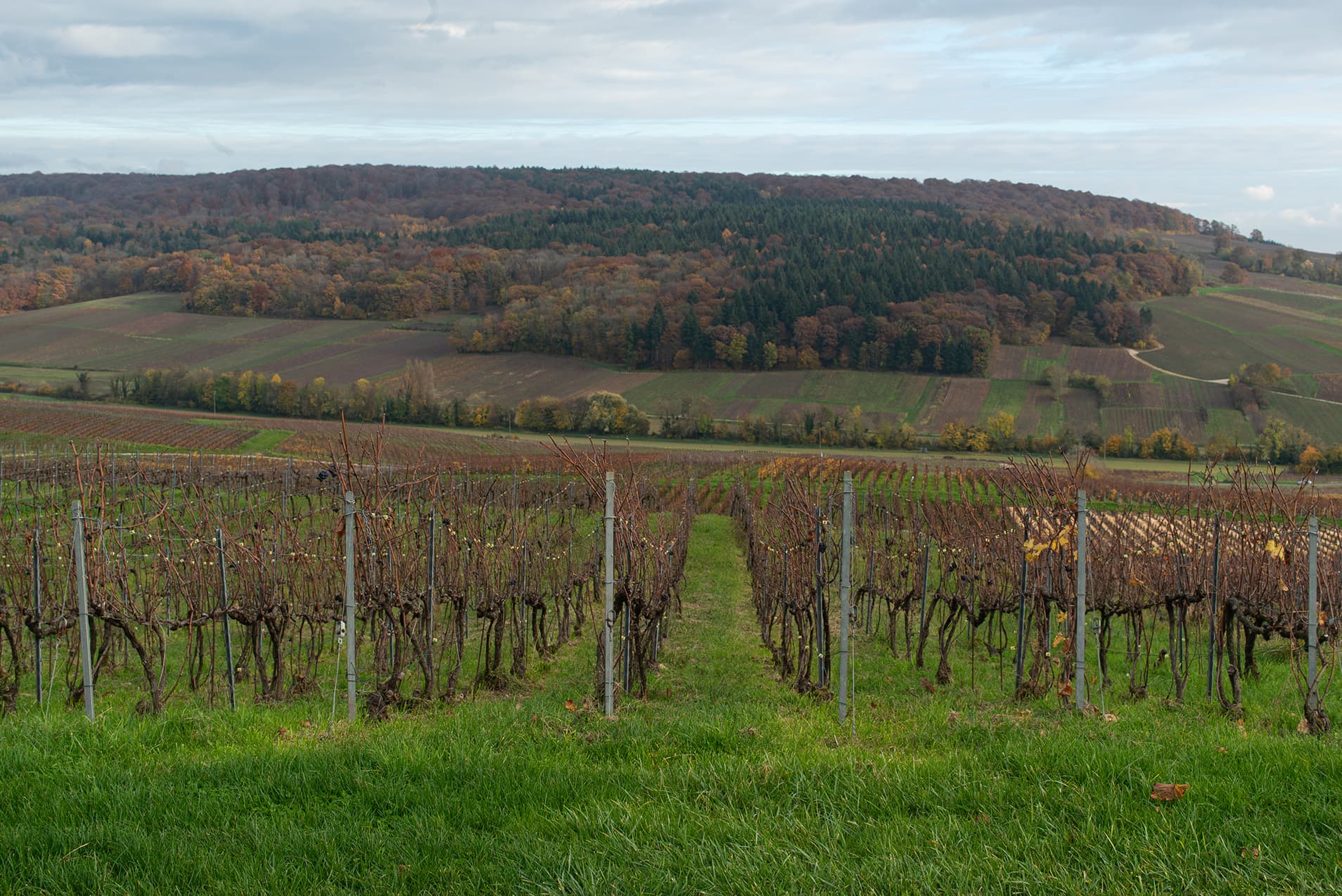 Bubbels van Frits voor ieder moment
