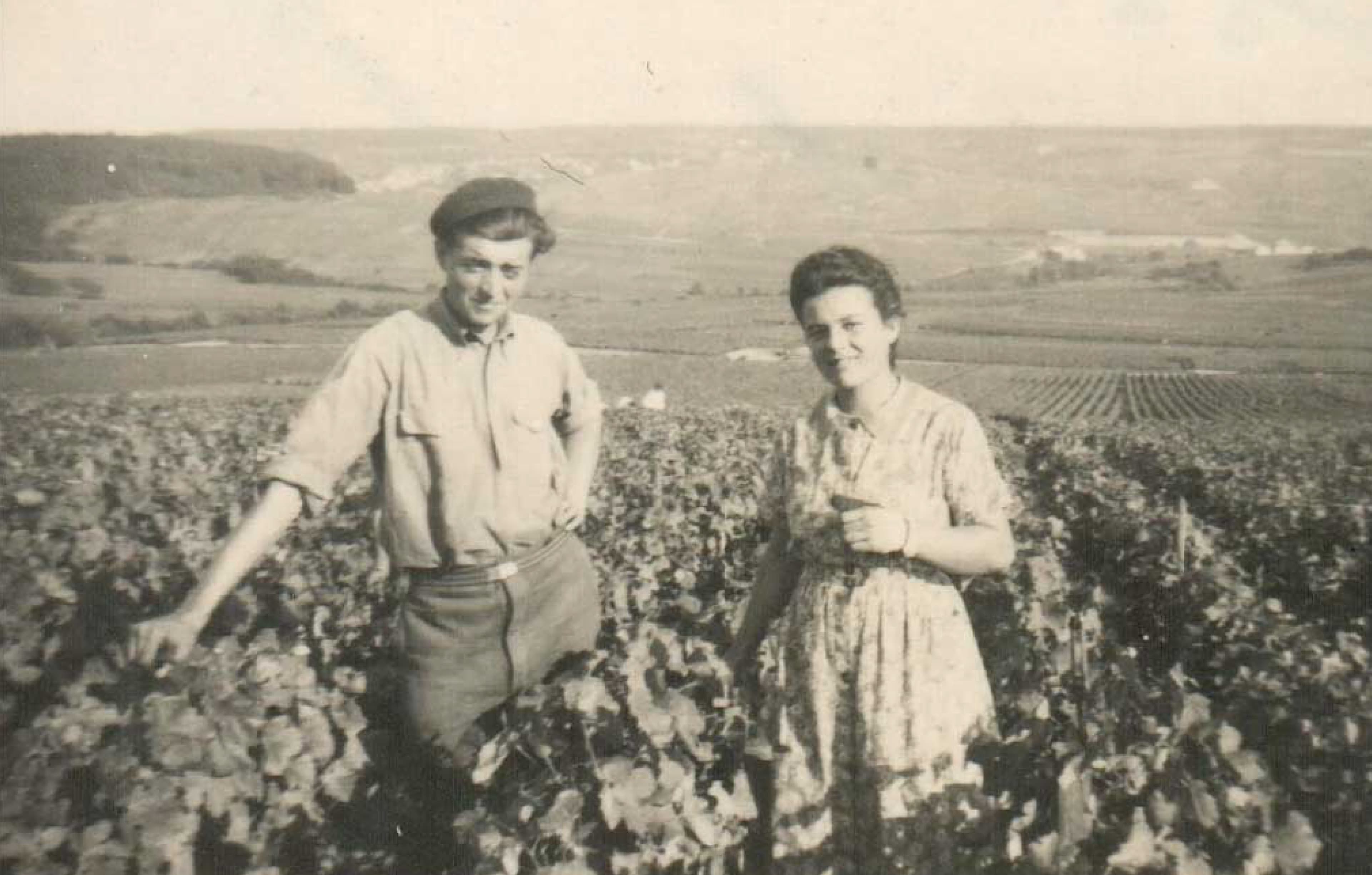 Bubbels van Frits voor ieder moment