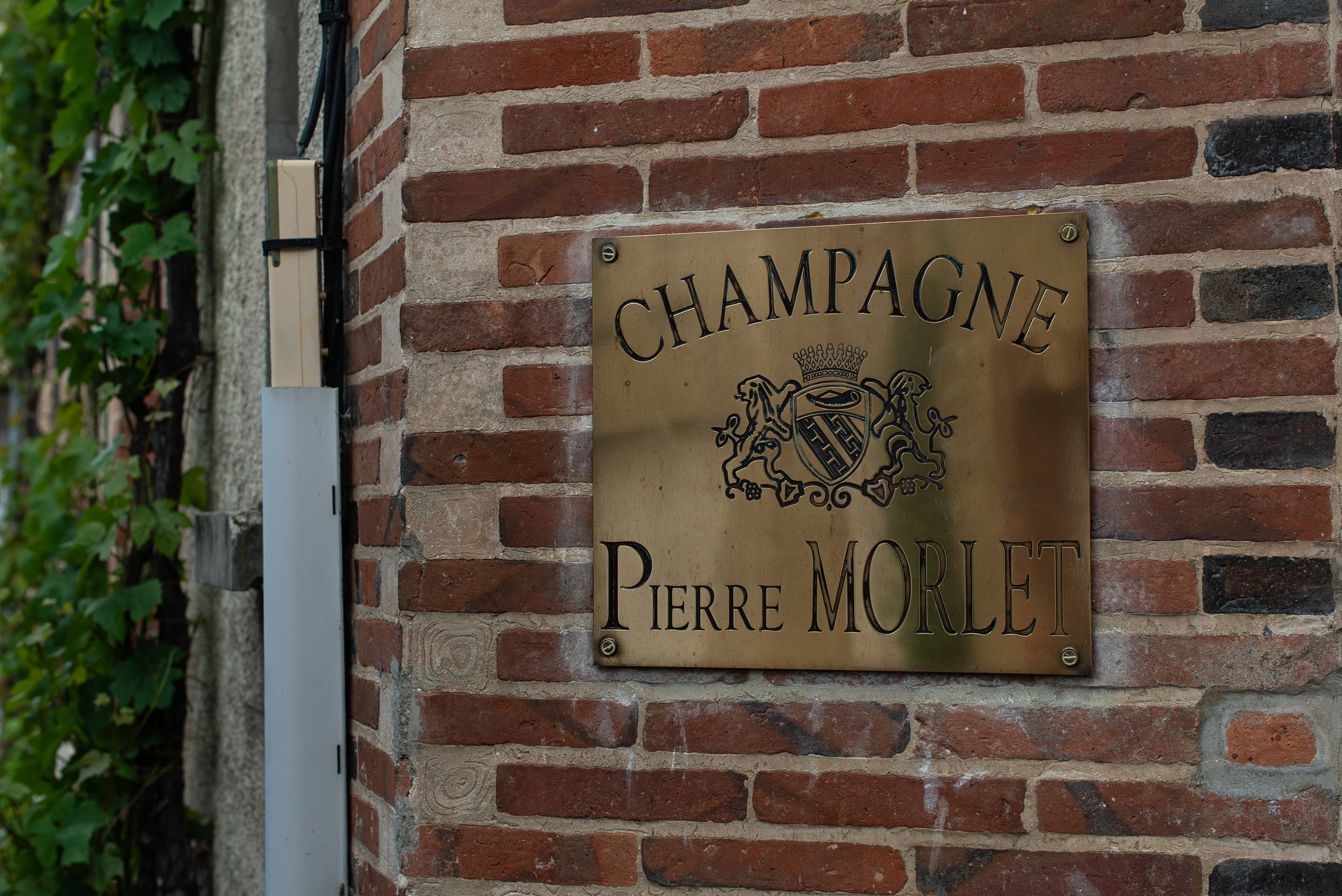 Bubbels van Frits voor ieder moment