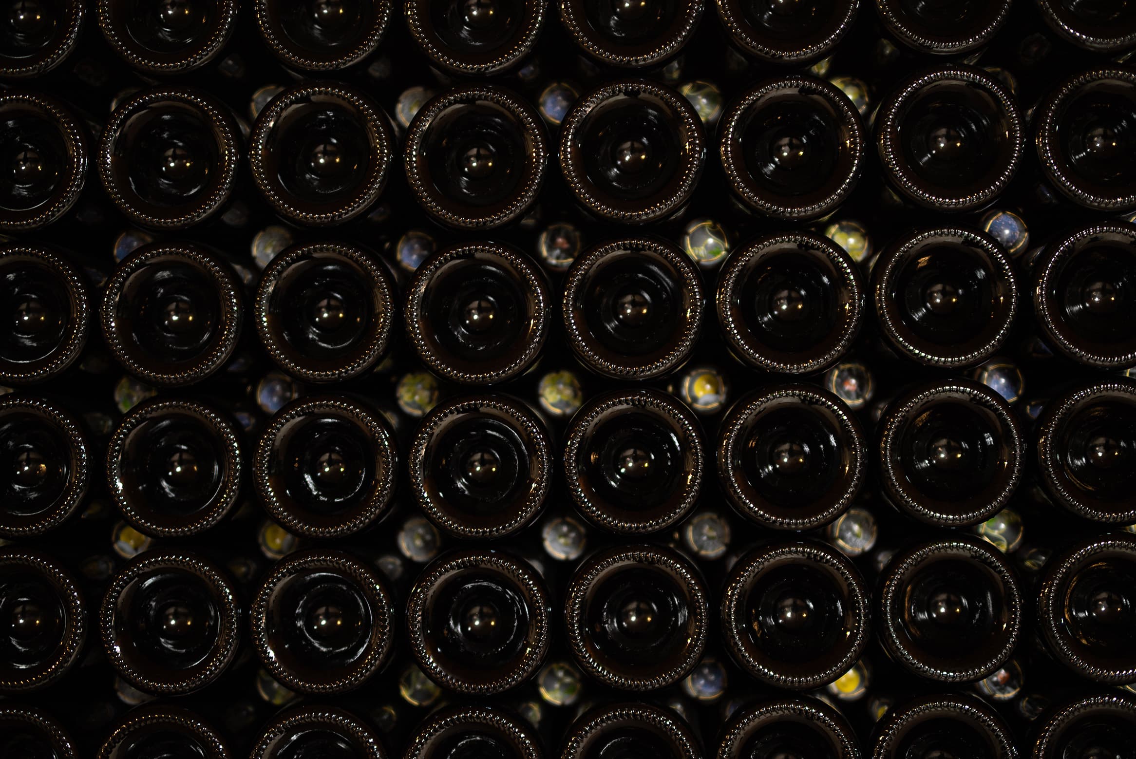 Bubbels van Frits voor ieder moment